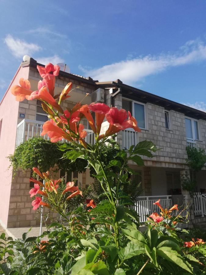 Apartmani Danica 오레비츠 외부 사진